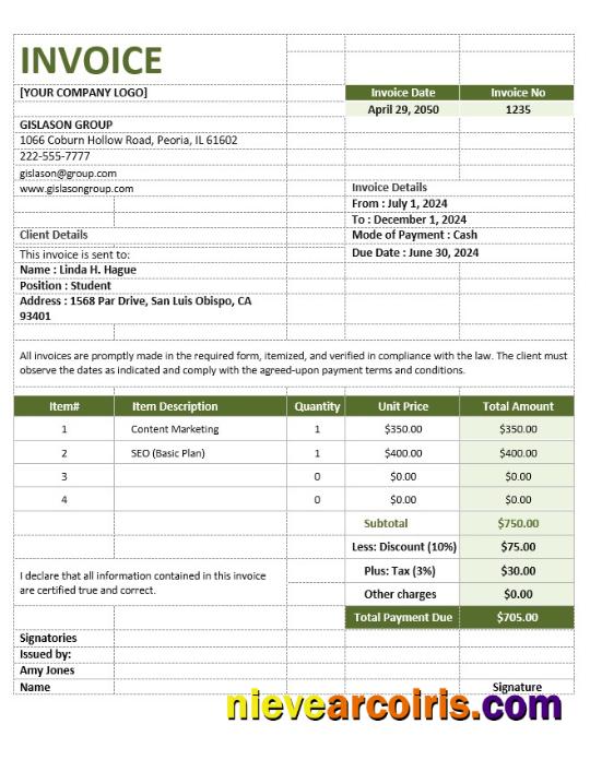 Simple Agency Invoice